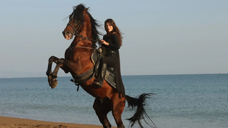  Sevdam Karadeniz İçin Heyecanlı Geri Sayım: 14 Eylül'de Başlıyor