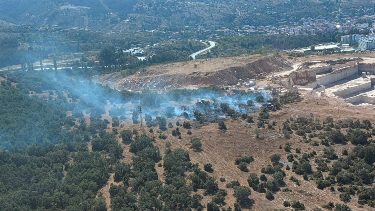 Bilecik’te ormanlık alanda yangın