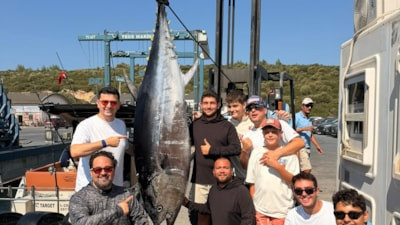 İzmir'de oltayla 260 kilogram orkinos yakalandı