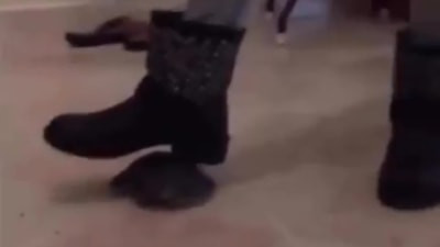 Zonguldak'ta kaplumbağayı öldüren şüpheli gözaltında