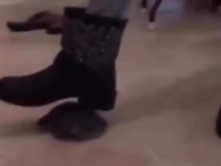 Zonguldak'ta kaplumbağayı öldüren şüpheli gözaltında