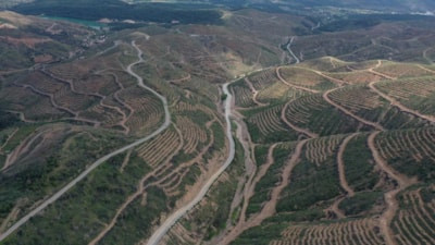 İngiliz BBC'nin yalanı çöktü: Orman yangını üzerinden provokasyona kalkıştılar