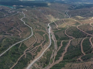 İngiliz BBC'nin yalanı çöktü: Orman yangını üzerinden provokasyona kalkıştılar