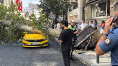 İstanbul'da devrilen ağaç trafikte aksamaya neden oldu