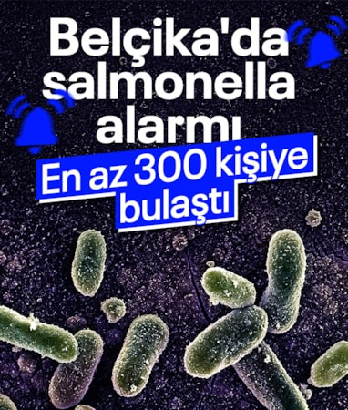 Belçika'da salmonella alarmı: En az 300 kişiye bulaştı