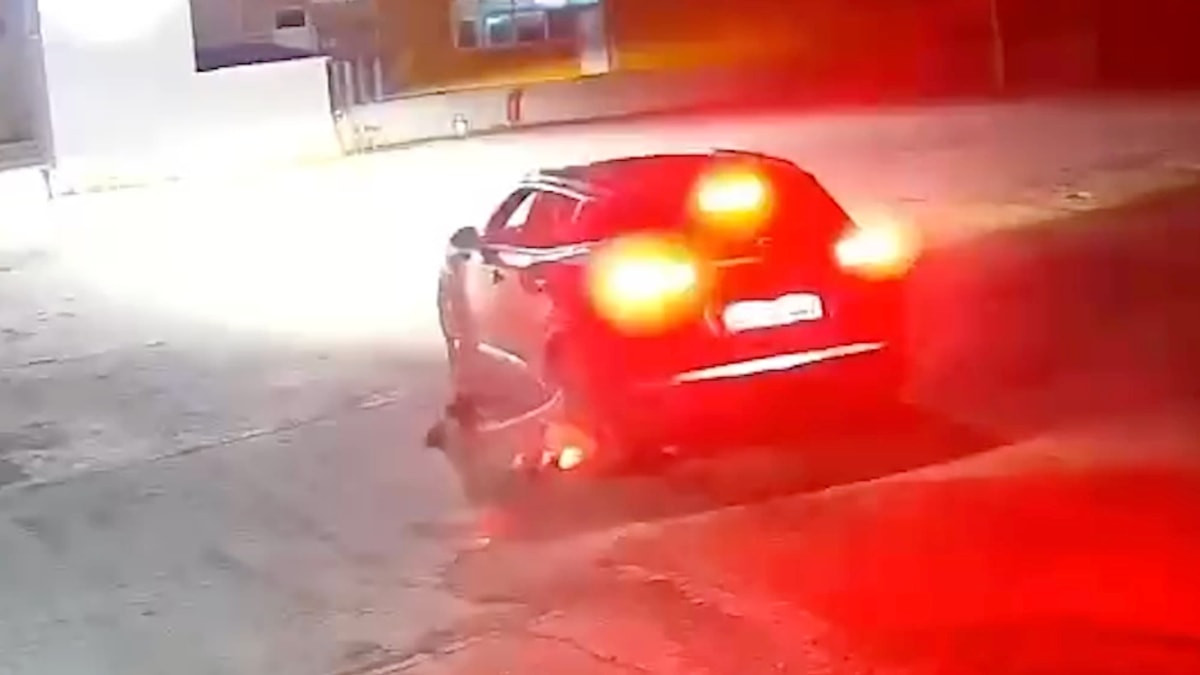 Giresun’da kapının geç açılmasına sinirlenip köpeği ezdi