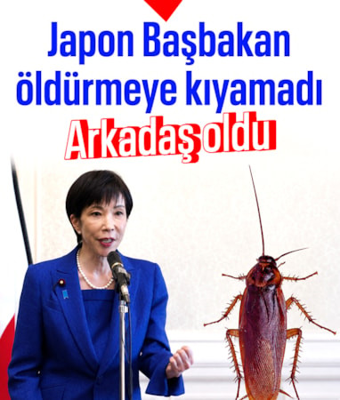 Japonya Başbakanı, hamam böceği ile 'arkadaş' oldu: Gidince yalnız kaldım