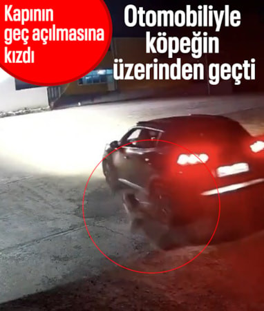 Giresun’da kapının geç açılmasına sinirlenip köpeği ezdi