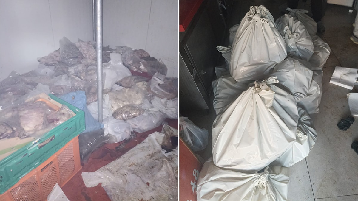 Muğla'da kapalı kasap deposundan 400 kilo bozuk et çıktı