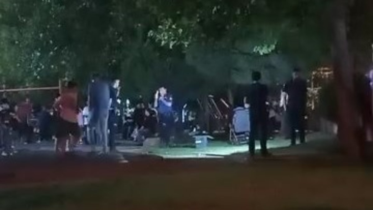 İstanbul'da bebeğiyle parka çıkan kadın pusette silah buldu