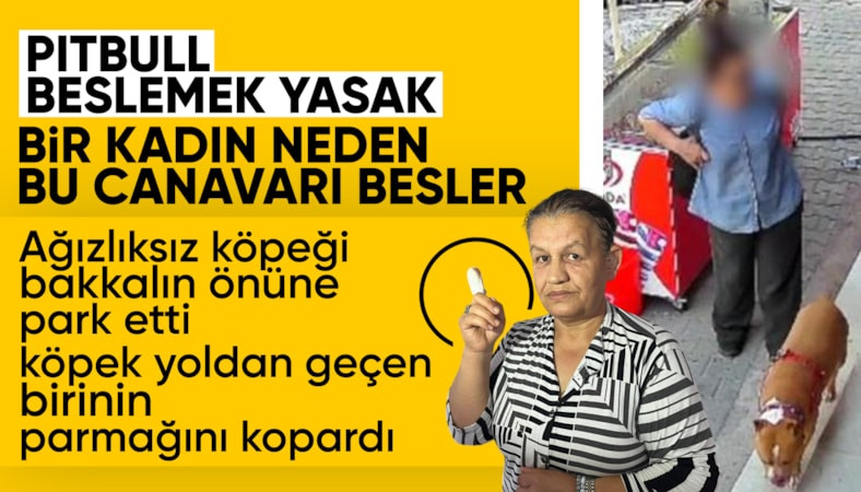 İzmir'de pitbull saldırısında parmağı koptu