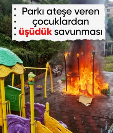 Zonguldak'ta parkı ateşe veren çocuklardan pes dedirten savunma: Üşüdük