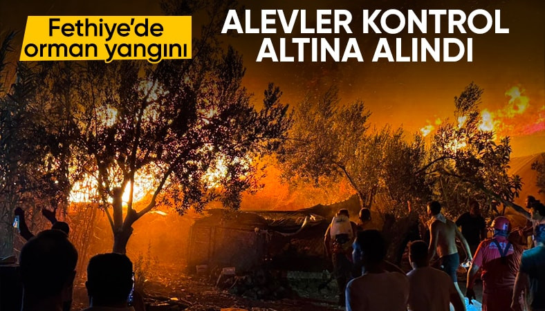 Fethiye ilçesinde orman yangını yerleşim yerine ulaştı