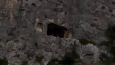 Hatay'da dağ yüzeyindeki mağarada mahsur kalan şahıs kurtarıldı