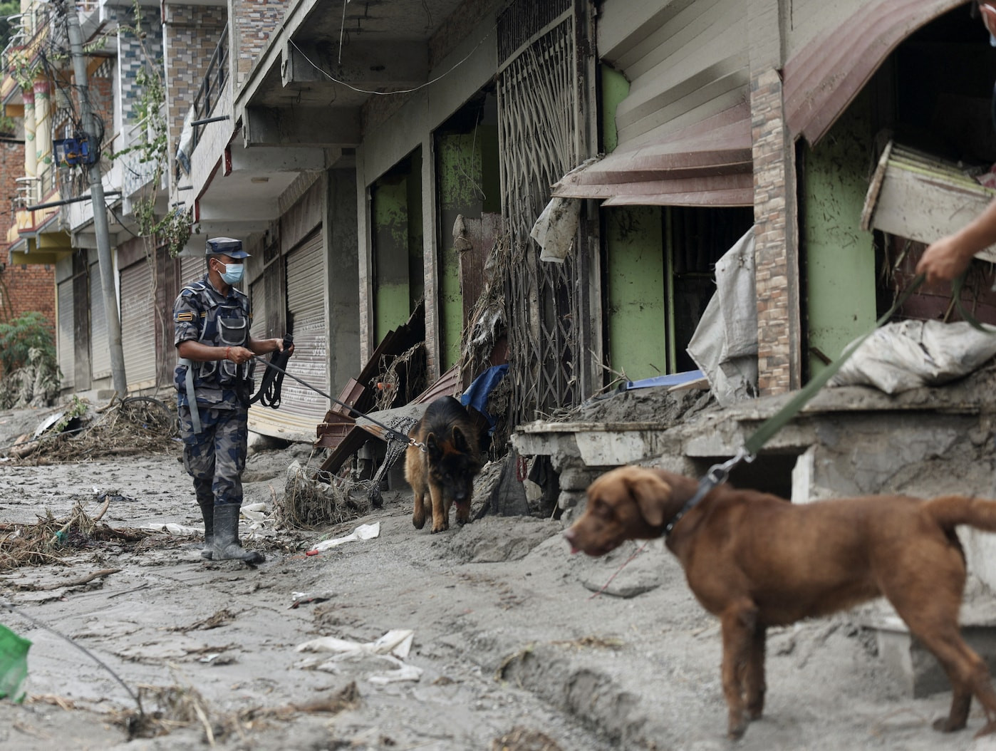 Nepal'deki yıkıcı sellerin ardından yaşananlar - Resim 23