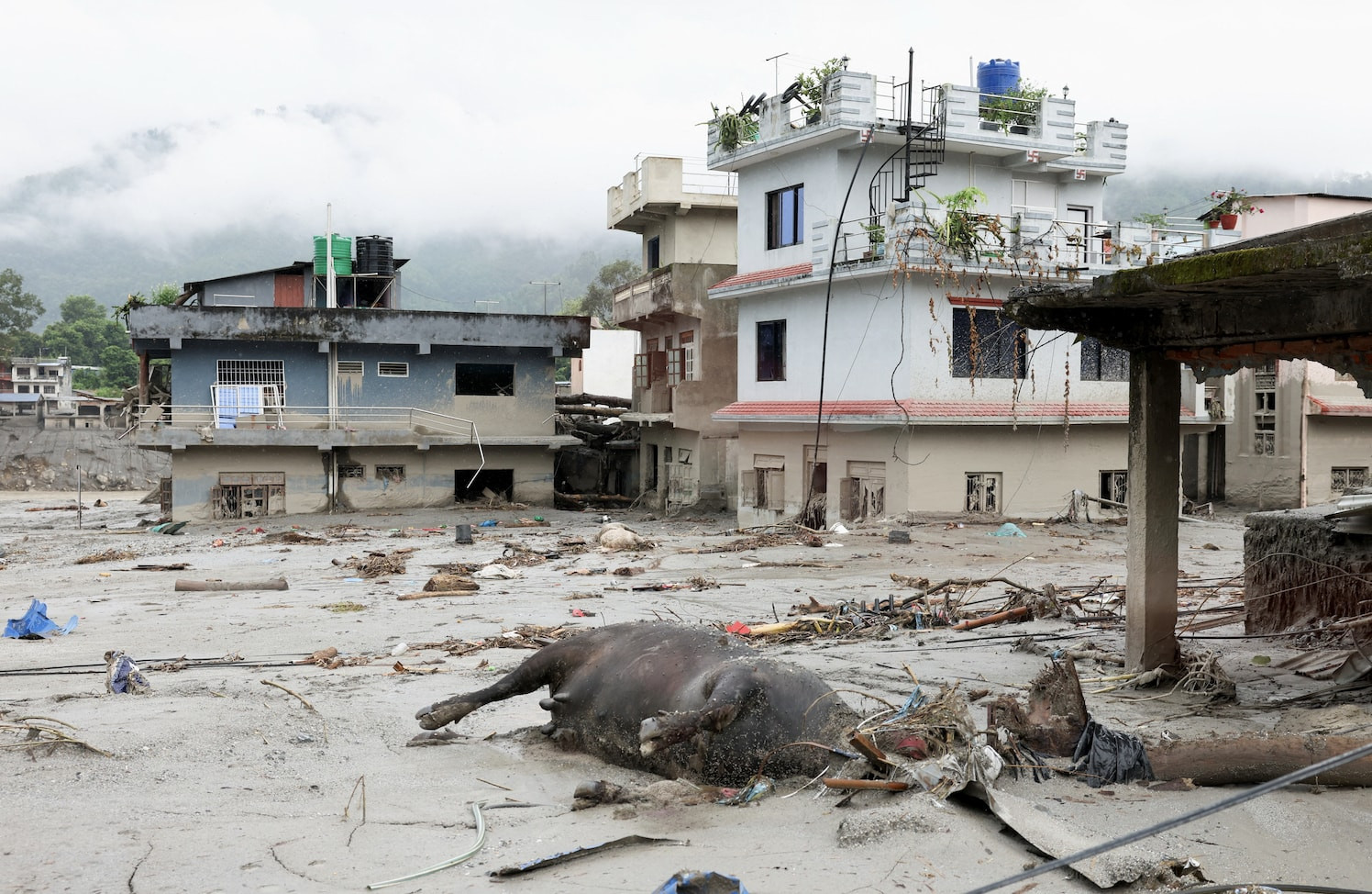Nepal'deki yıkıcı sellerin ardından yaşananlar - Resim 33