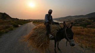 Tunus'ta aşırı sıcaklar nedeniyle yaşanan ölümlerde artış gözlendi