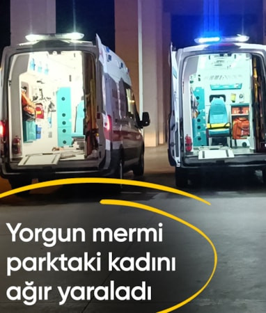 Mardin'de parkta oturan kadının başına yorgun mermi isabet etti