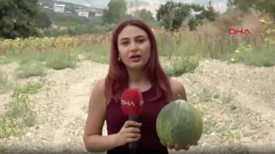 Bursa'da hırsız almaz kavunu görünüşüyle hırsızları, tadıyla yiyenleri şaşırtıyor
