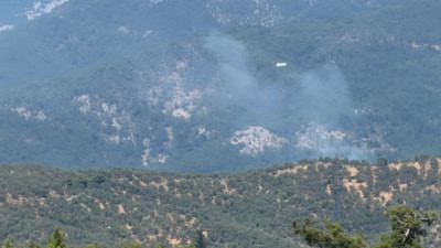Balıkesir'de zeytinlikte başlayıp Kazdağı Milli Parkı'na sıçrayan yangın kontrol altında