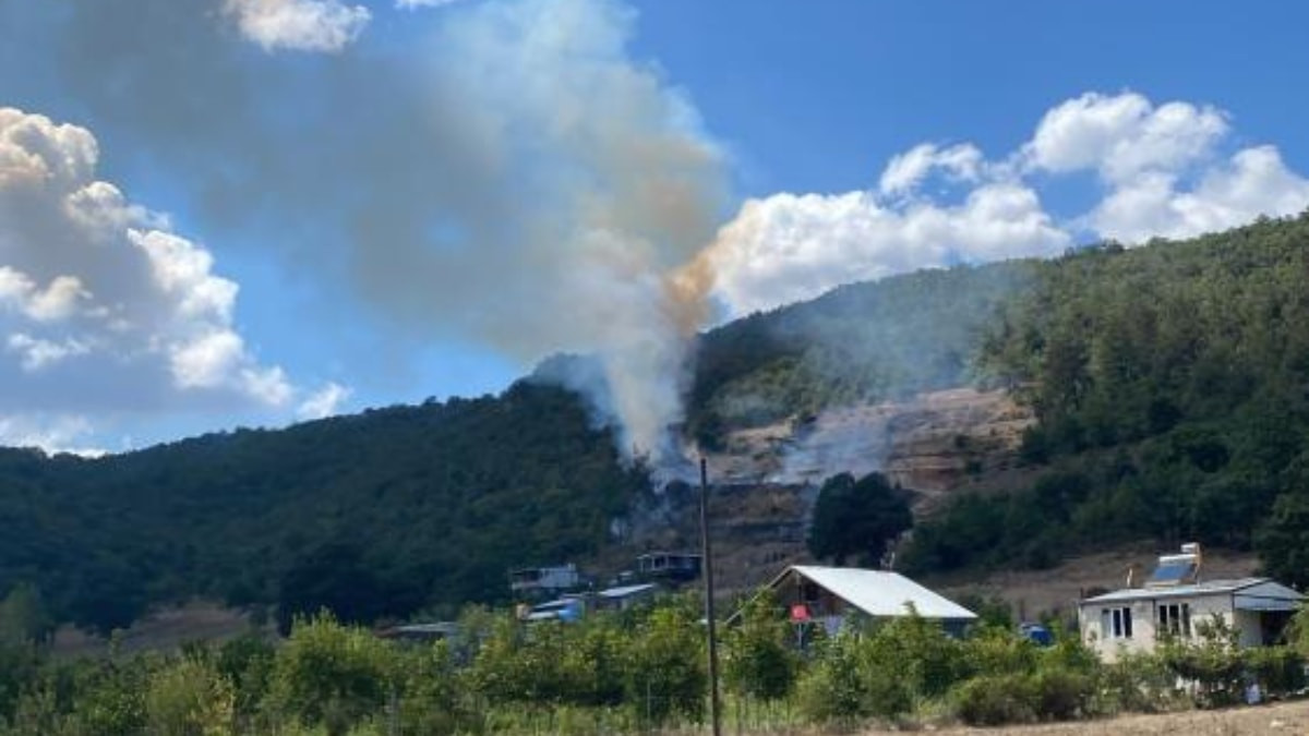 Bursa'da tarlada başlayan yangın, ormana sıçradı