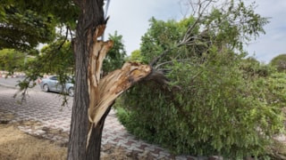 Van'da şiddetli fırtına hasara yol açtı