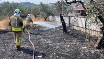 Hatay'da zeytinlik alanda yangın çıktı