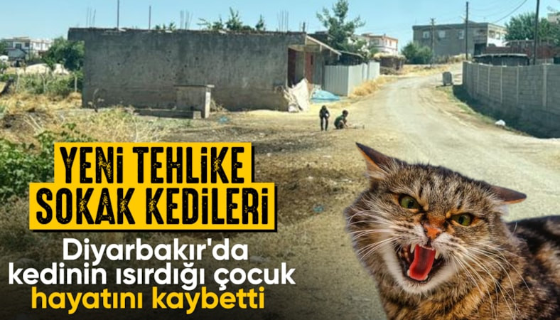 Diyarbakır'da kuduz teşhisi konulan 4 yaşındaki çocuk kurtarılamadı
