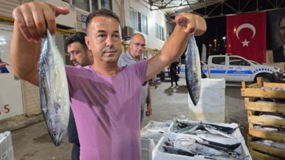 Marmara'da ilk gün sardalya bereketi yaşandı