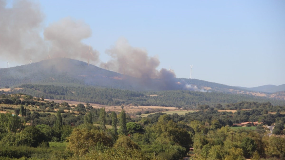 Çanakkale'deki orman yangınında 8 hektarlık alan küle döndü