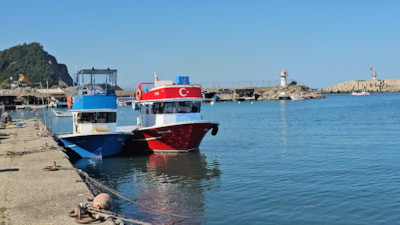 Zonguldak’ta balıkçılar 50 ton balıkla döndü