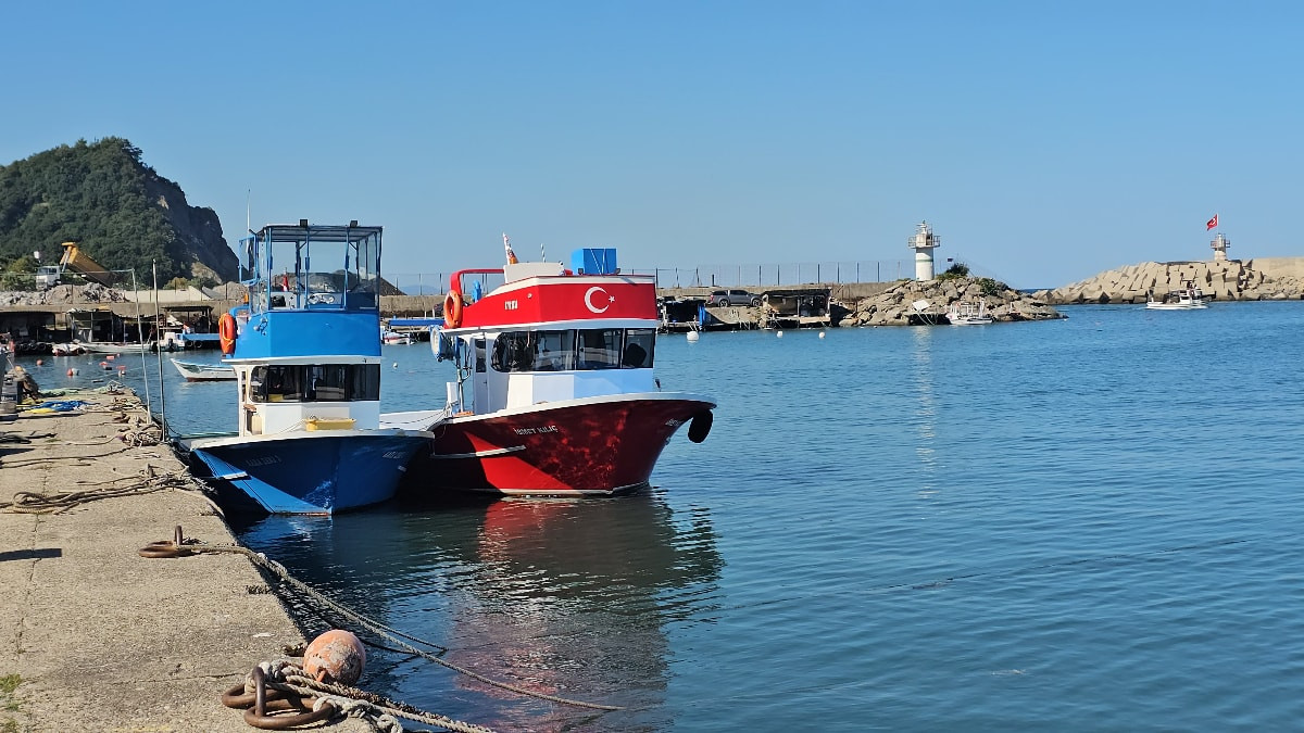 Zonguldak’ta balıkçılar 50 ton balıkla döndü