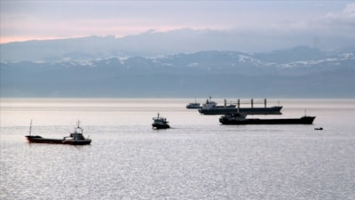 Karadeniz'de oksijen alarmı: Canlıların yaşam alanı daralıyor