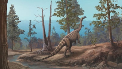 Afrika'da 210 milyon yıllık yeni dinozor türü keşfedildi