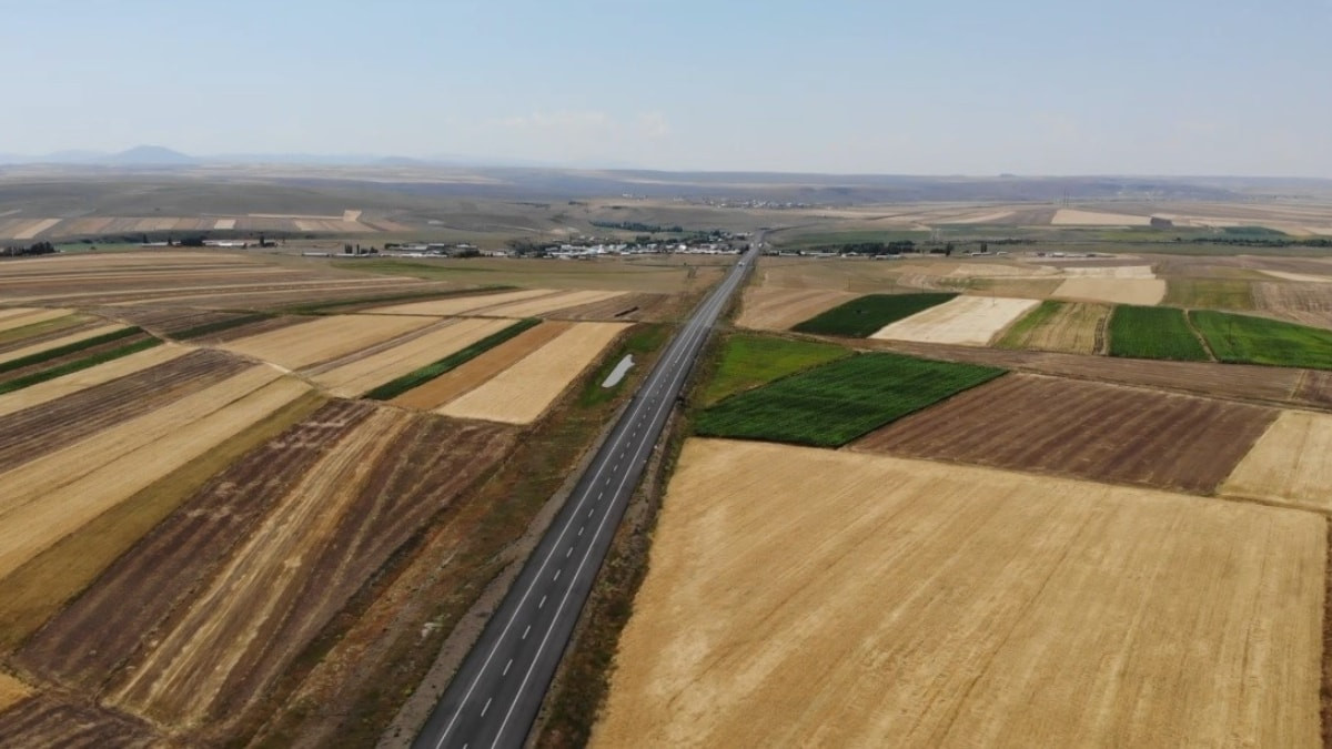 Kars'ta tarım arazilerinden görsel şölen