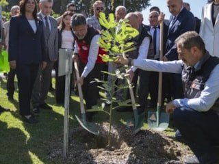 İbrahim Yumaklı'ya fidanı saksıyla dikti iftirası