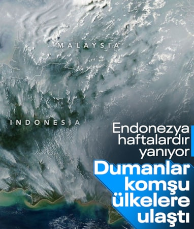 Endonezya’daki orman yangınları haftalardır sürüyor: Zehirli duman komşu ülkelere yayıldı