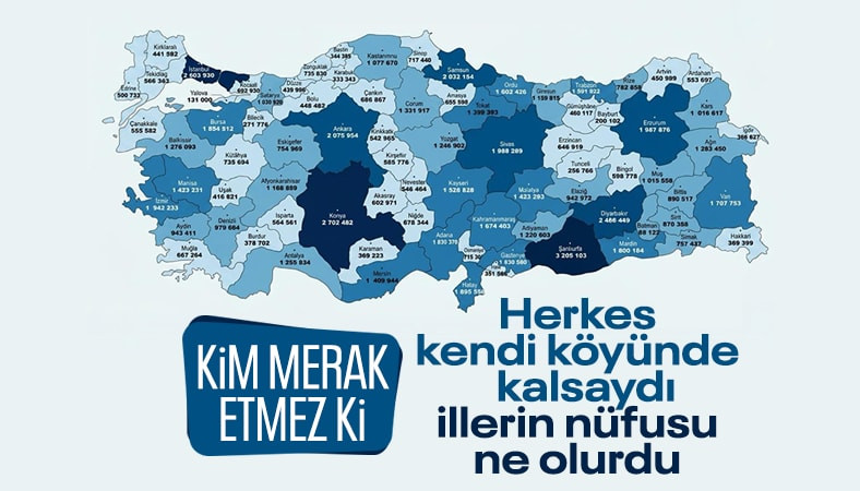 TÜİK simülasyonu yayınlandı: Herkes memleketine dönse ne olurdu?