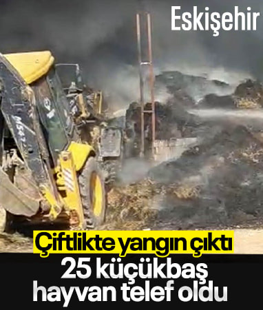 Eskişehir’de çiftlikte yangın: 25 küçükbaş hayvan telef oldu