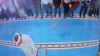 Erzurum'da camide kedi tekmeleyen şahıs serbest bırakıldı