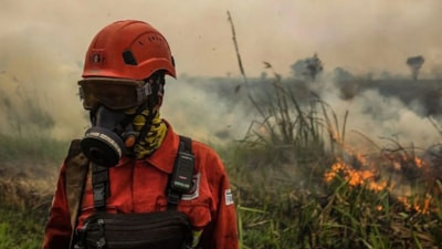 Güneydoğu Asya'da zehirli duman krizi: El Nino orman yangınlarını körüklüyor