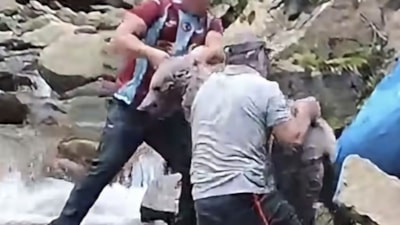 Trabzon'da dere yatağında mahsur kalan yavru bozayı kurtarıldı