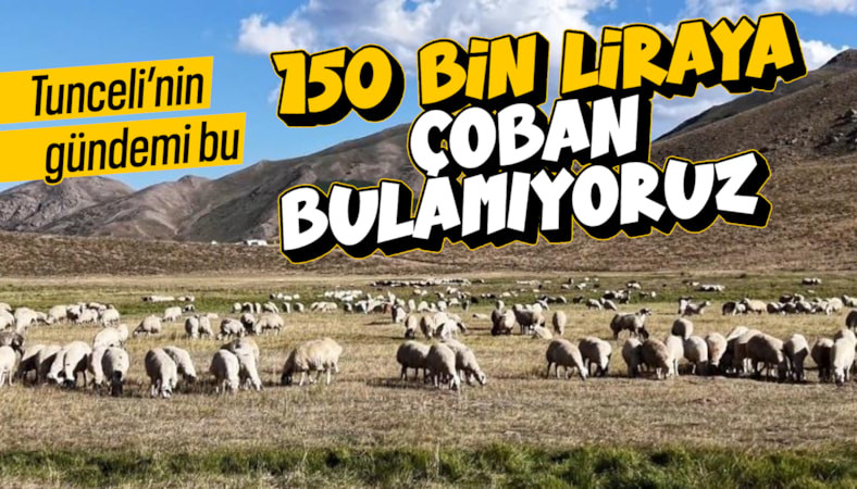Tunceli'de 150 bin liraya çalışacak çoban bulunamıyor