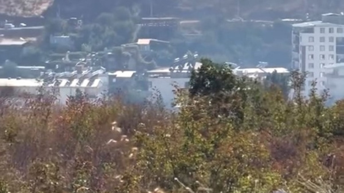Siirt'te ormanlık alanda çıkan yangın paniğe neden oldu