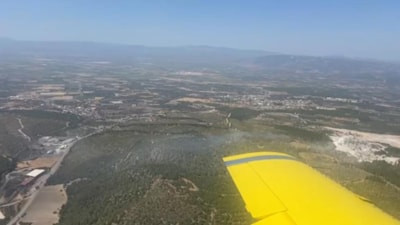 Manisa'da orman yangını