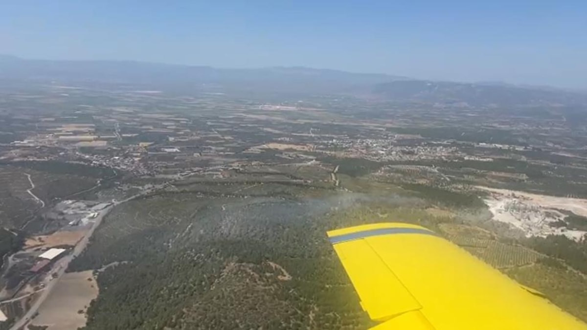 Manisa'da orman yangını