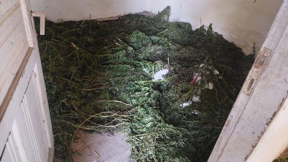 Samsun'da 63 kilo kubar esrar ele geçirildi
