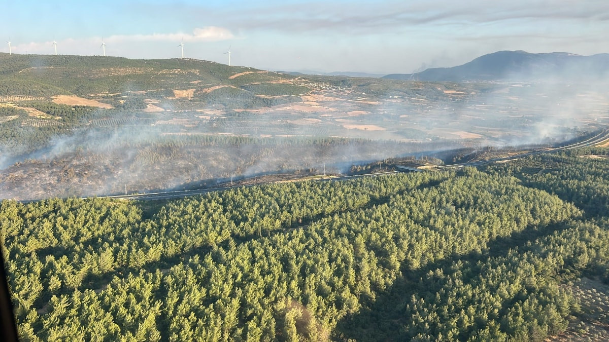 Manisa'daki orman yangını kontrol altında: Otoban ulaşıma açıldı