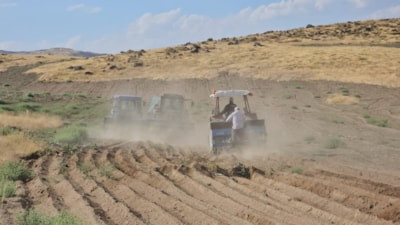 Bitlis'te buğday ekim sezonu başladı