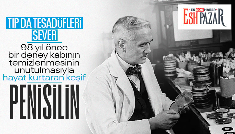 Bilim tesadüfleri sever: Temizlenmeyen bir deney kabında oluşan “istenmeyen küf” milyonların hayatını kurtardı